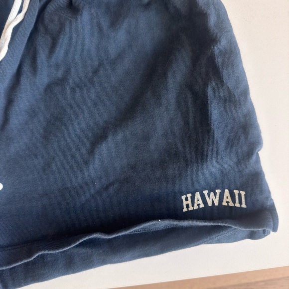 Brandy Melville Navy Blue Hawaii Shorts - Picture 2 of 4